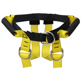 Lift Assist Belt / Harness